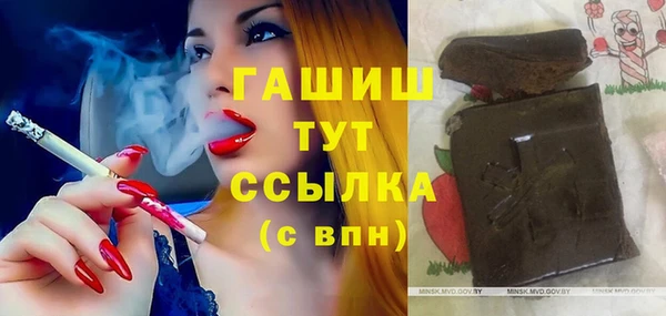 гидра Алексеевка
