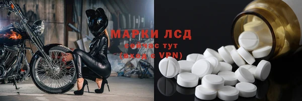 трава Аркадак