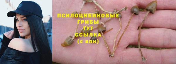 ECSTASY Армянск
