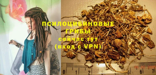 spice Семилуки